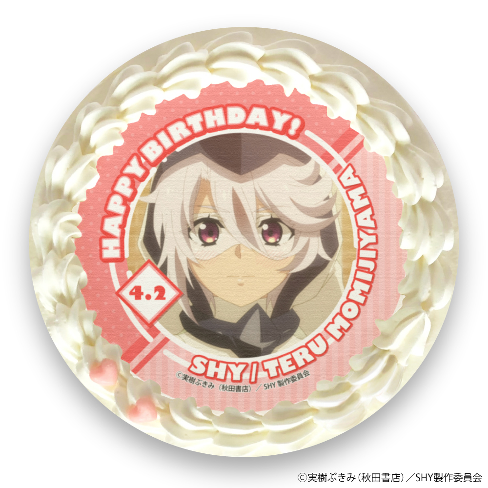 SHY　シャイ／紅葉山テルバースデープリケーキ、マカロン6個セット
